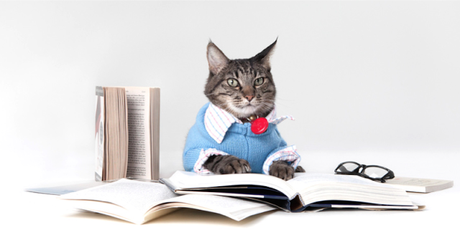 bilan mensuel ♦ octobre 2016