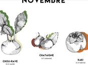 Hello Novembre