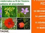 plantes médicinales cours l'histoire