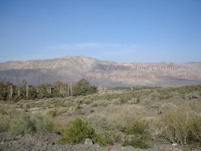 Petit tour par San Juan – Article n° 5100 [Retour sur Images]