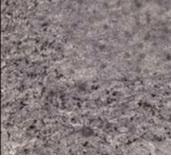 TAUOPATHIES: A chaque type d'agrégat, son type de démence? – Neuron