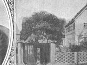 Wagner 1846: Lohengrinhaus maison Lohengrin Graupa