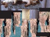 création plein chantier