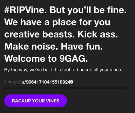 Vine : l’application mobile fermera très prochainement, voici une astuce pour télécharger tous vos « vine ».