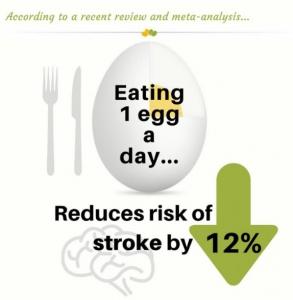 NUTRITION : Un uf par jour, c'est un risque d'AVC réduit de 12% – Journal of the American College of Nutrition