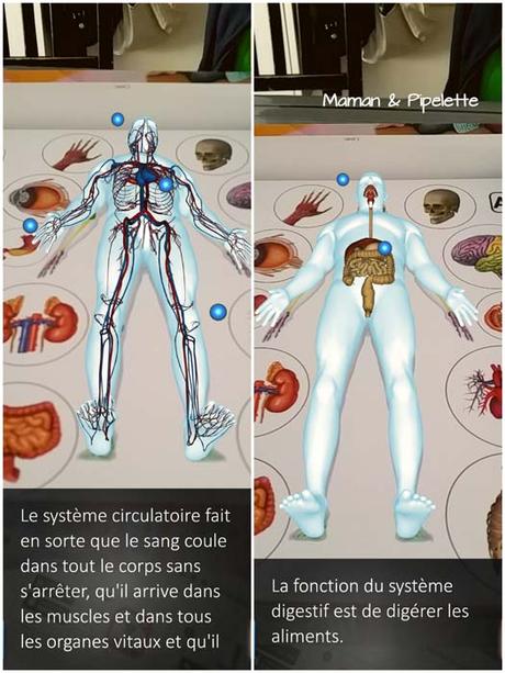 Découvre de façon interactive comment fonctionne ton corps + un cadeau!