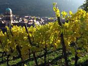 Automne dans vignoble alsacien