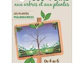 VILLE LISIEUX Découvrez Foire Arbres 2017, mars Lisieux avec 558ème édition plus ancienne Plantes France (plus siècles)