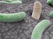 MICROBIOTE INTESTINAL: influence dépend prédispositions génétiques Journal Clinical Investigation