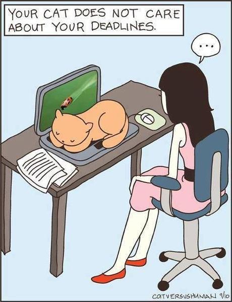 Faire respecter son espace de travail: un combat quotidien