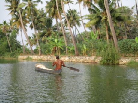 STAGE YOGA ET AYURVEDA AU KERALA, SOUS-CONTINENT INDIEN (du 05.03 au 15.03 -2017)