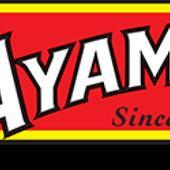 Ayam Nouilles jaunes