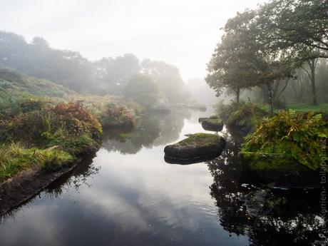 matinée au fil de L'Ellez §1 (10 photos)