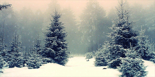 Challenge Cold Winter 2016 winter-snow-nature-animated-gif-27