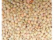 Maroc quand lentilles cessent d’être plat pauvres