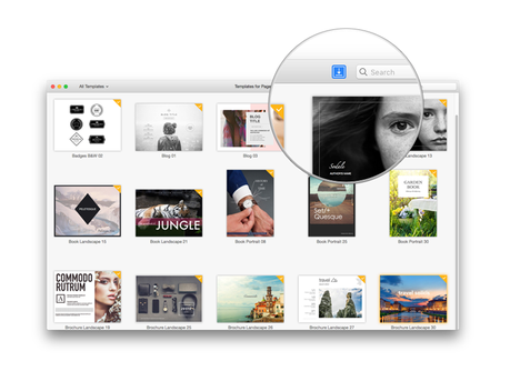 Modèles pour Pages: une superbe collection de thèmes