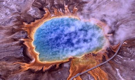 99,999 % des espèces vivantes sur Terre seraient inconnues de l’homme