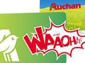 plan livresque chez Auchan