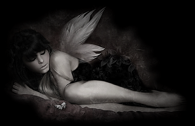 Afficher l'image d'origine