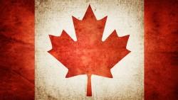 Gildan Activewear fait l’acquisition de la propriété intellectuelle mondiale ainsi que certains actifs de American Apparel Brand