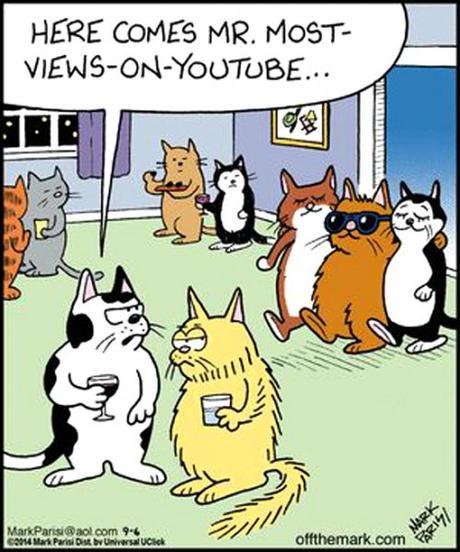 funny-comic-cat-humor-most-viewed-on-youtube