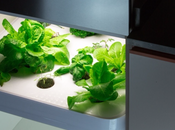Vegidair, votre mini potager incorporé dans meuble cuisine.