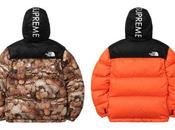Supreme North Face FW16