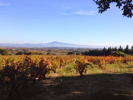 Images d'automne dans le Gard #30