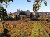 Images d'automne dans Gard