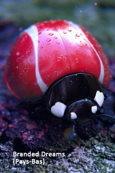 Festival du Court métrage de Villeurbanne au Zola du 18 au 27 novembre 2016