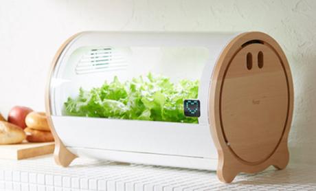 Foop, le potager d’intérieur ultra mignon et connecté