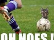 COP22 Panique chez Fluffies