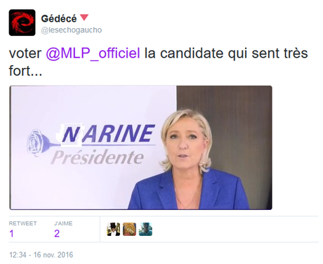 Votez #Narine2017, la seule candidate qui sent si fort capture