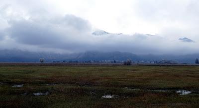 Frimas d'automne sur la route de Kochel à Murnau