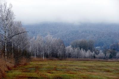 Frimas d'automne sur la route de Kochel à Murnau