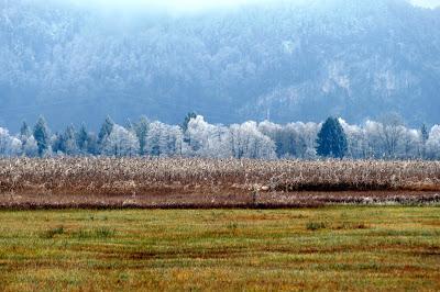 Frimas d'automne sur la route de Kochel à Murnau