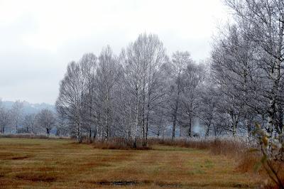 Frimas d'automne sur la route de Kochel à Murnau