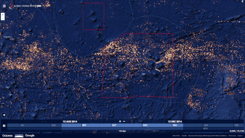 Les réseaux neuronaux de Google appelés à la rescousse pour lutter contre la surpêche