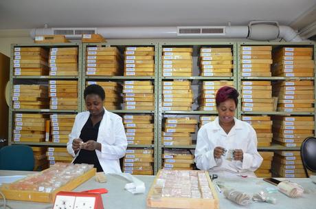 Archivage des sols au laboratoire de diagnostic spectral de l’ICRAF, à Nairobi.