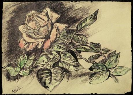 Esquisse d'une rose