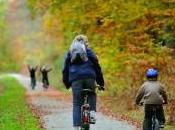 Picardie forêt verte Parcourez forêts vélos