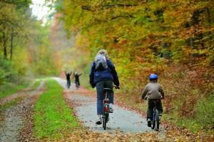 Picardie forêt verte :  Parcourez les forêts de Picardie à vélos !