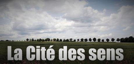 Le politique, l'artiste, le sociologue et les droits culturels. Le politique, l'artiste, le sociologue et les droits culturels.