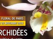 Très belle expo d'Orchidées parc floral Paris