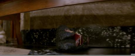 FANTASTIC BEASTS AND WHERE TO FIND THEM