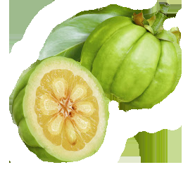 Le fruit Garcinia Cambogia: ses bienfaits pour la perte de poids