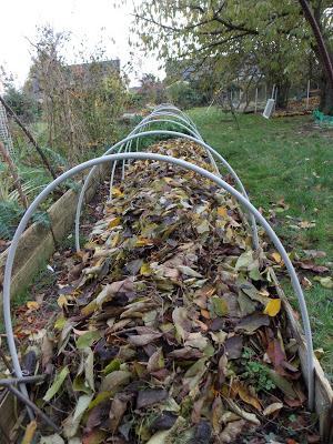 L'importance du compost et du mulch pour de belles récoltes