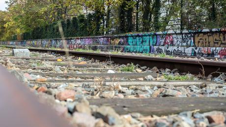 L’explorateur chic balmain loding the nines hacter