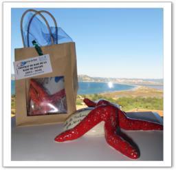 Galathea : Festival International du monde marin