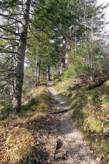 Belles promenados bavaroises: de Mittenwald au Lautersee par Mittereck et retour par le Laintal